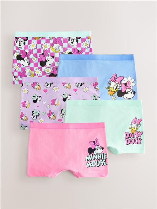 Next Underbukser 'Minnie Mouse'  turkis / lyseblå / lilla / pink / fuchsia