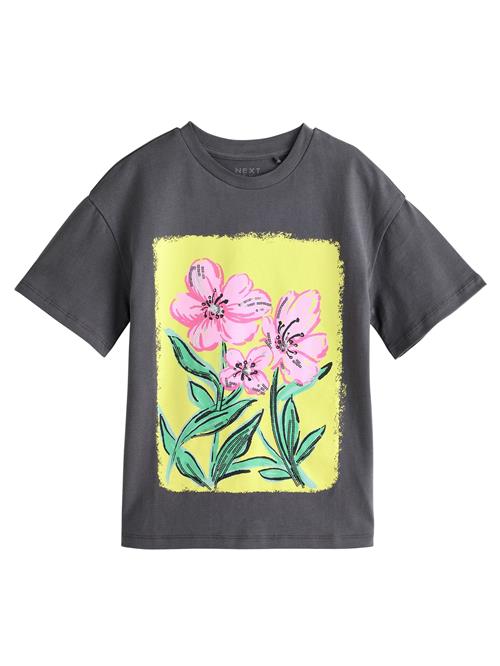 Next Bluser & t-shirts  grå