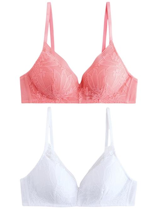 Next BH  pitaya / hvid