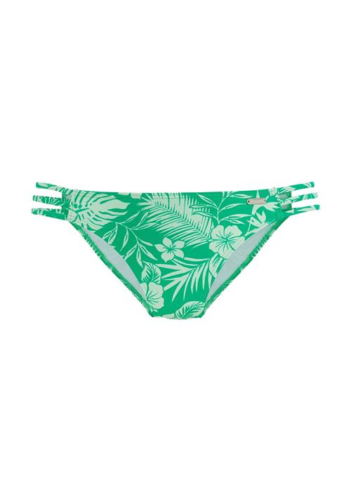 VENICE BEACH Bikinitrusse  mint / lysegrøn