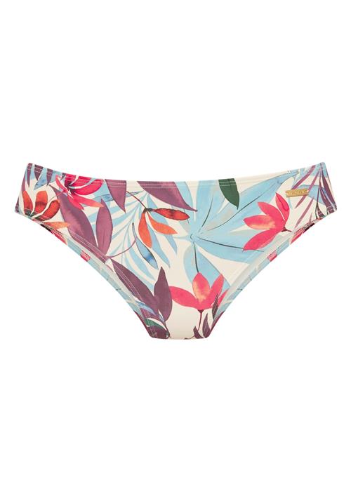 LASCANA Bikinitrusse  creme / lyseblå / lilla / orange