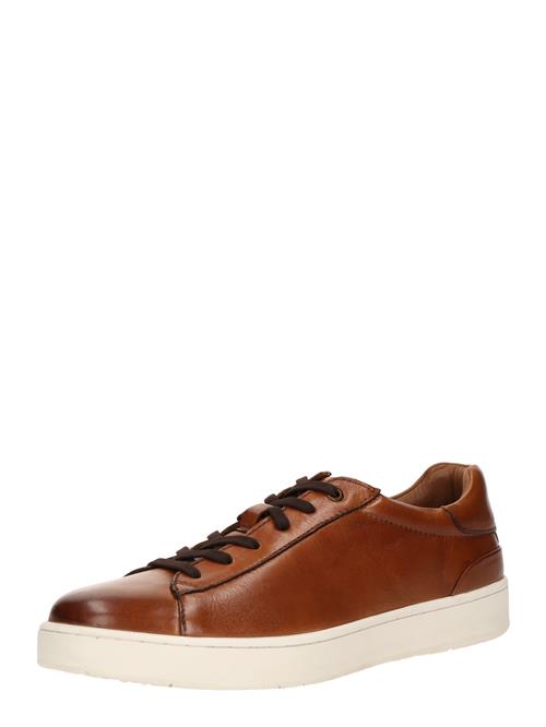 SALAMANDER Sneaker low  cognac