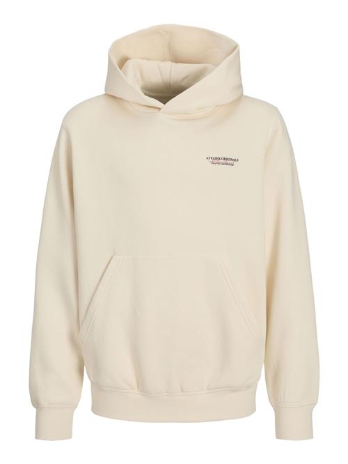 JACK & JONES MINI Sweatshirt  creme / mørkeblå / hummer