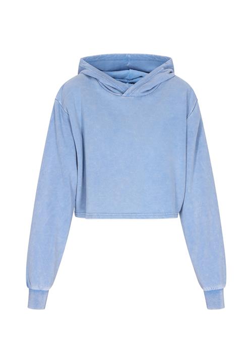 IZIA Sweatshirt 'Fashion Look'  lyseblå