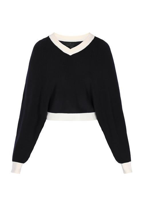 DreiMaster Klassik Pullover 'Classic Look'  marin / hvid