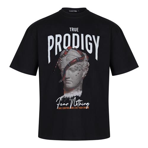 trueprodigy Bluser & t-shirts 'Jamie'  grå / rød / sort