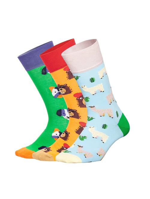 DillySocks Sokker 'Geschenkbox - Paws & Friends (3er Box)'  blandingsfarvet