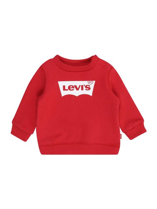 Levi's Kids Sweatshirt  rød / hvid