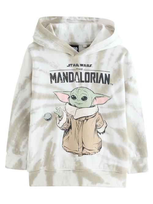 Next Sweatshirt  beige / blandingsfarvet