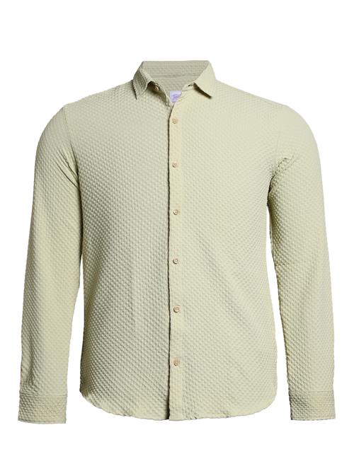 Campus Sutra Skjorte 'Tayler'  grøn