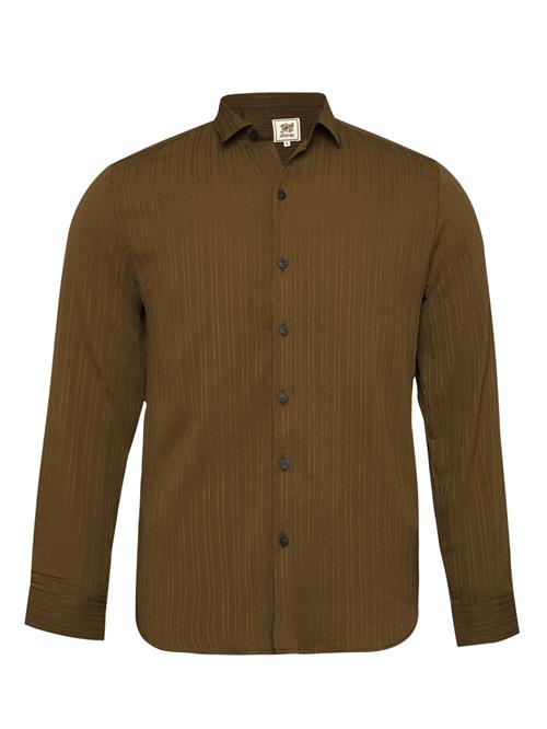 Campus Sutra Skjorte 'Sybilla'  oliven