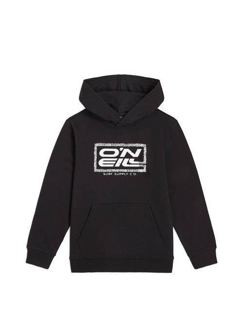 O'NEILL Sweatshirt  sort