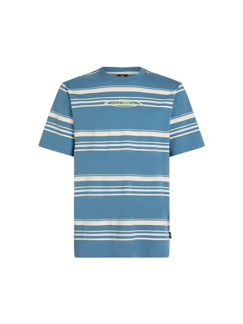 O'NEILL Bluser & t-shirts  blå / blandingsfarvet