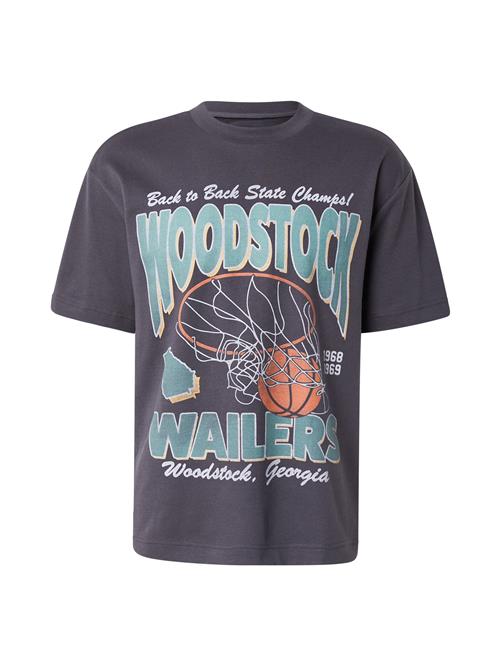 HOLLISTER Bluser & t-shirts  mint / orange / sort