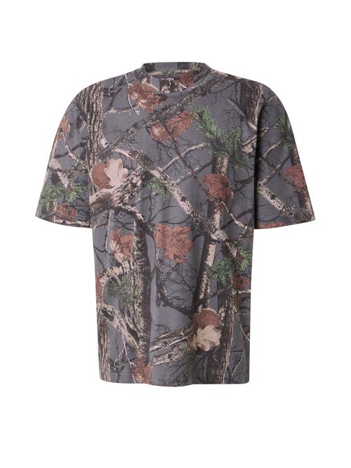 HOLLISTER Bluser & t-shirts  antracit / lime / mørkegrøn / mørkeorange