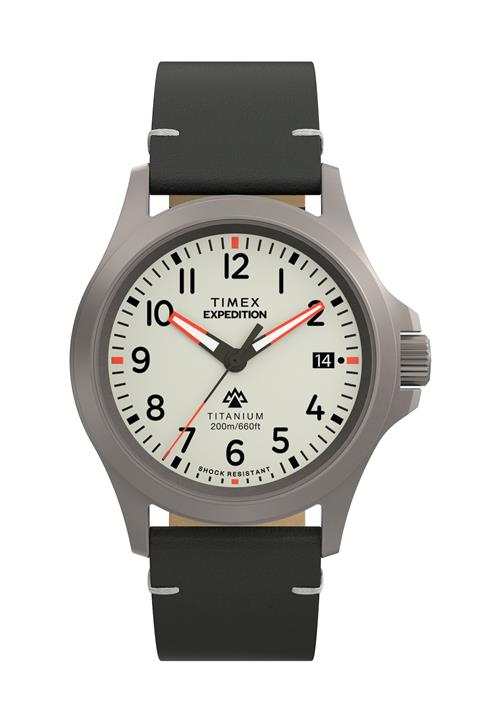 TIMEX Analogt ur 'Expedition North'  grå / sølv