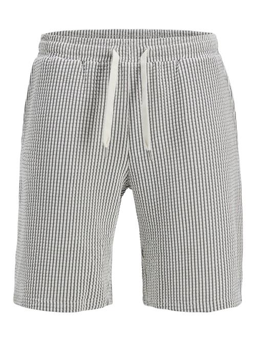 JACK & JONES Bukser 'JPSTKarl May'  marin / hvid