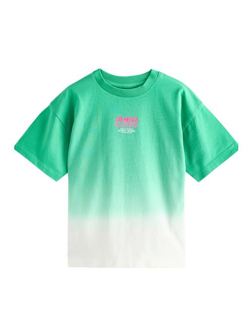 Next Shirts  grøn / mørk pink / hvid