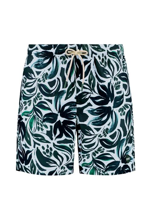 Shiwi Badeshorts 'MIKE'  grøn / hvid