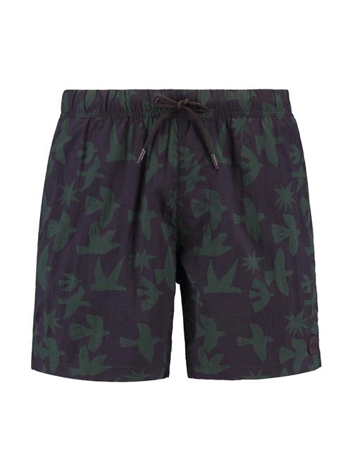 Shiwi Badeshorts 'Nick'  mørkegrøn / aubergine