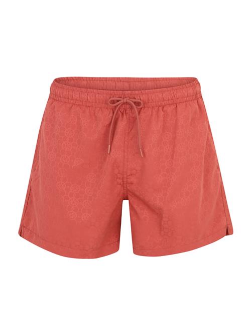 Abercrombie & Fitch Badeshorts  hummer / orangerød
