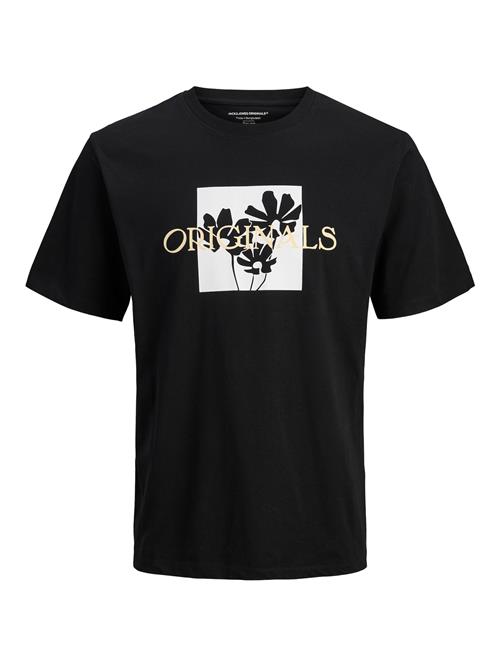 JACK & JONES Bluser & t-shirts  orange / sort / hvid