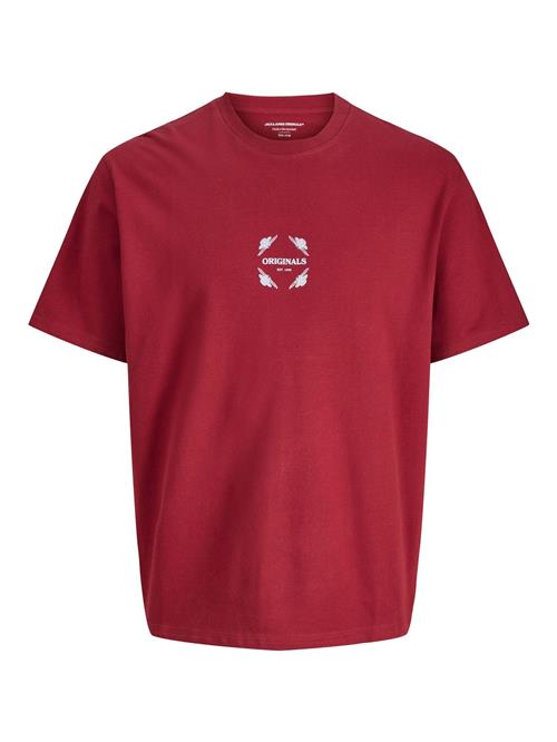 JACK & JONES Bluser & t-shirts  rød / hvid