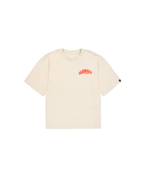 ALPHA INDUSTRIES Bluser & t-shirts 'Hawaii Aloha'  lyseblå / brun / orange / naturhvid