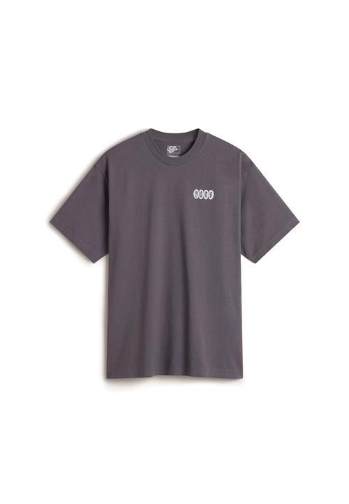 VANS Bluser & t-shirts 'Earthbound'  grå / antracit