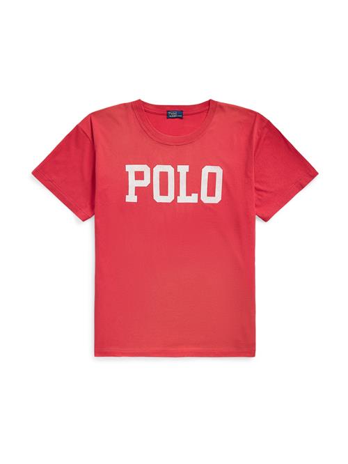 Polo Ralph Lauren Shirts  rød / hvid