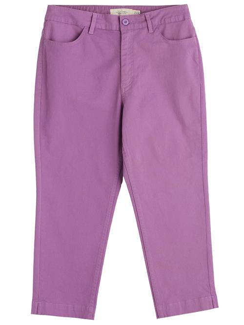 Seasalt Cornwall Bukser 'Albert Quay'  lilla