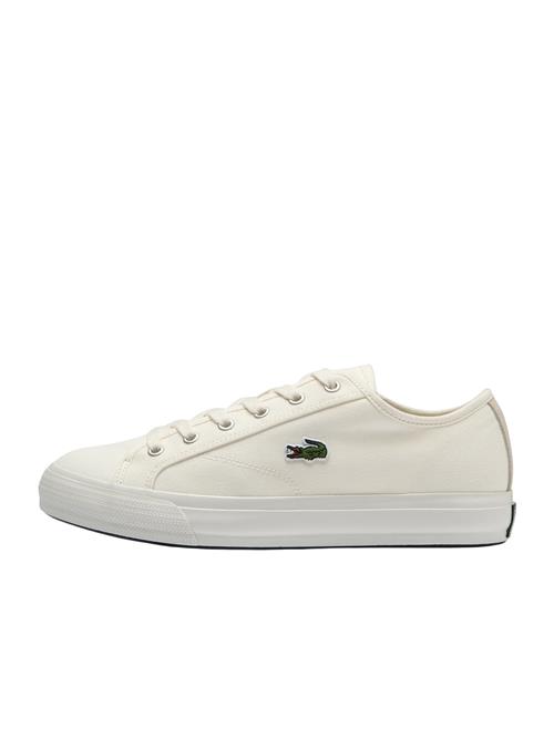 LACOSTE Sneaker low 'Backcourt'  hvid