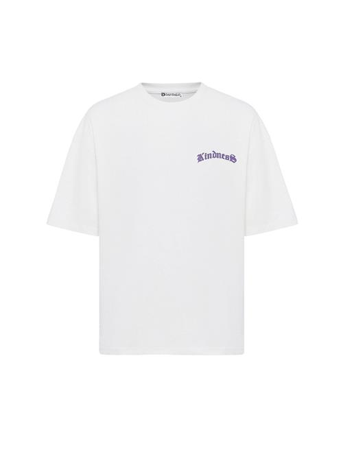 Dandalo Bluser & t-shirts  taupe / mørkelilla / sort / offwhite