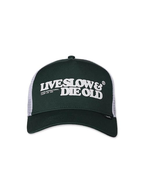 DJINNS Hætte 'Lsdo'  blandingsfarvet