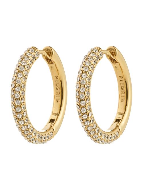 Pilgrim Øreringe  guld / transparent