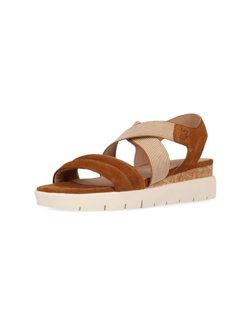 SALAMANDER Sandaler  cognac