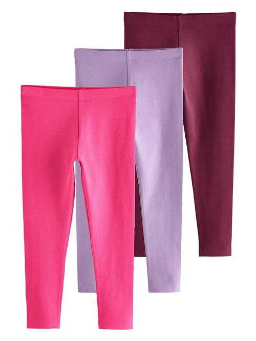 Next Leggings  lavendel / pink / vinrød