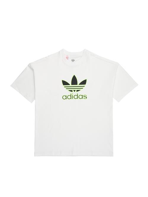 ADIDAS ORIGINALS Shirts 'Trefoil'  lime / sort / hvid