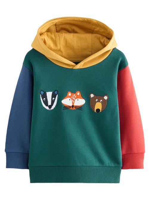 Next Sweatshirt  mørkeblå / gul / grøn / orange