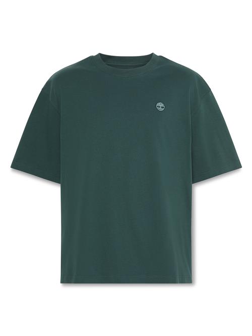 TIMBERLAND Bluser & t-shirts 'Dunstan River'  pastelgrøn / mørkegrøn