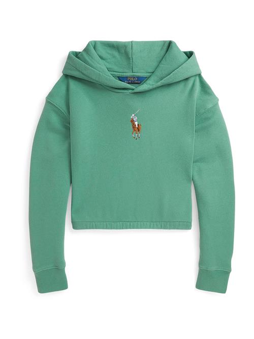 Polo Ralph Lauren Sweatshirt  lyseblå / brun / siv / hvid