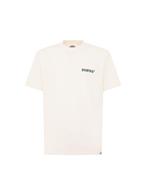 DICKIES Bluser & t-shirts 'Gordonsville'  grøn / hvid