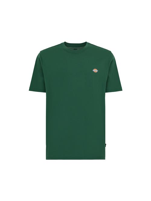 DICKIES Bluser & t-shirts 'Mapleton'  blå / gul / grøn / hvid