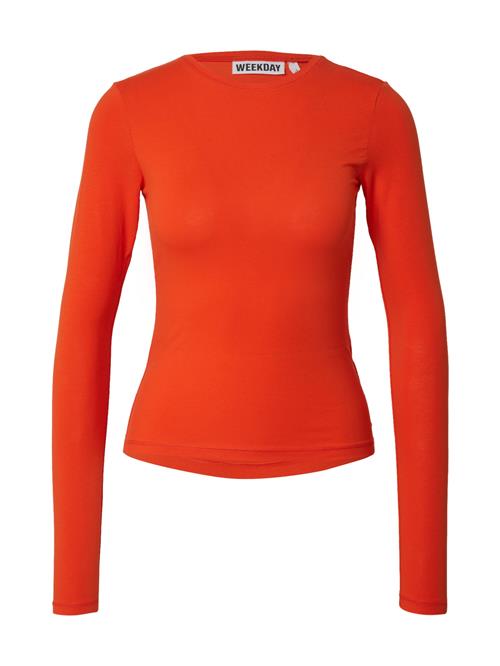 WEEKDAY Shirts  hummer