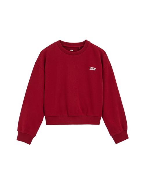 WE Fashion Sweatshirt  rød / hvid