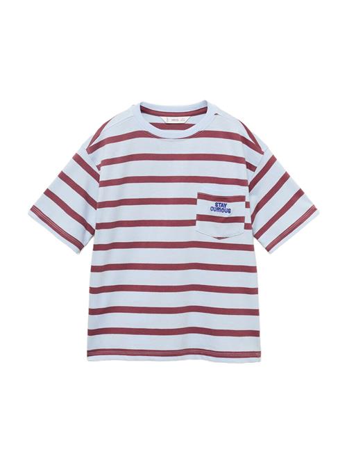 MANGO KIDS Shirts  lyseblå / burgunder