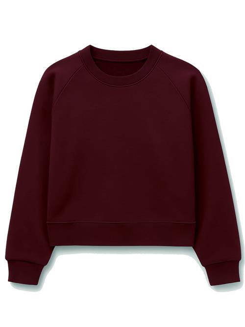 Eoselio Sweatshirt  bordeaux