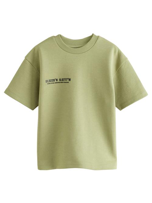 Next Shirts  pastelgrøn / sort