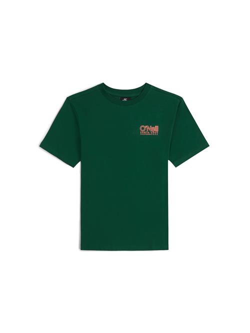 O'NEILL Shirts  gran / orange