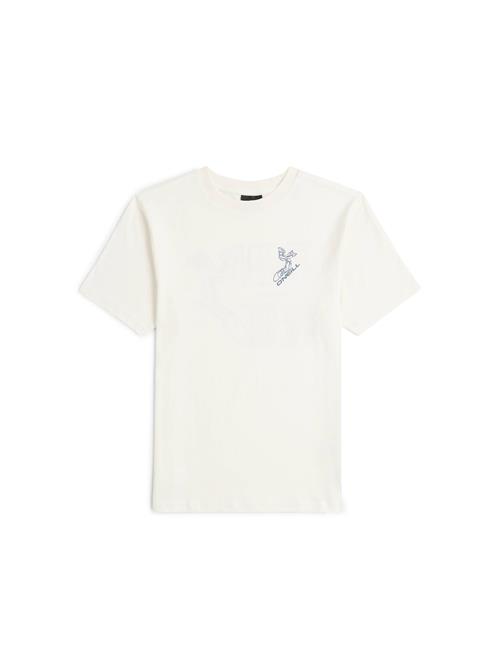 O'NEILL Shirts  blå / hvid